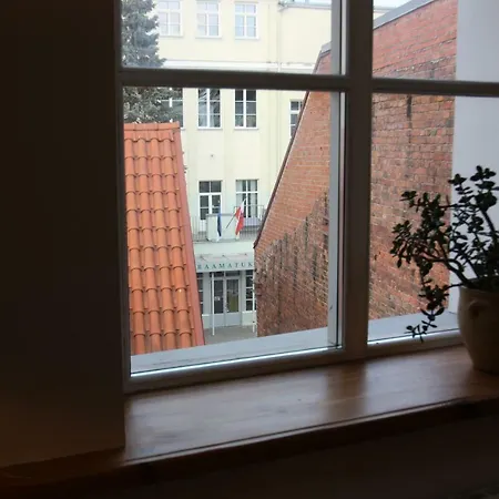 公寓 Penthouse Old Town,