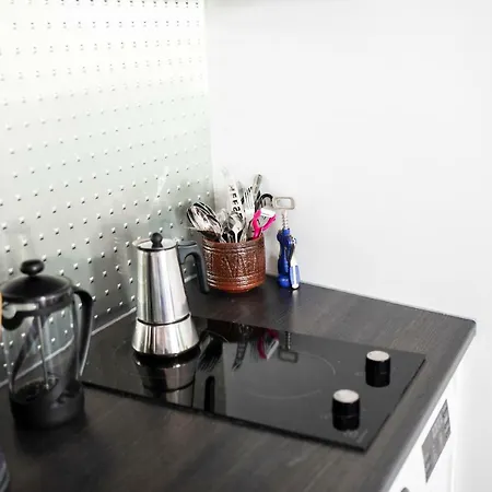 公寓 Penthouse Old Town, *