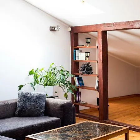 公寓 Penthouse Old Town, 塔尔图