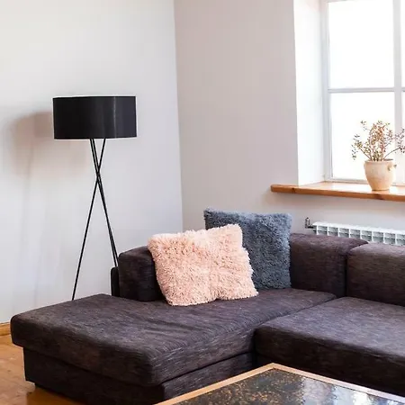 公寓 Penthouse Old Town,