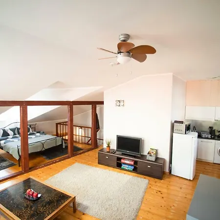 Penthouse Old Town, 公寓 *